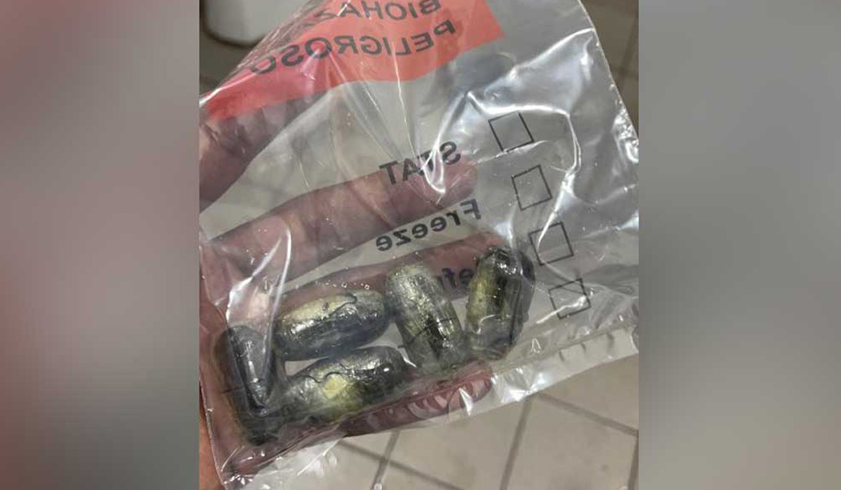 Smuggle drugs